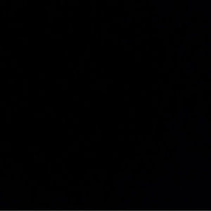 Meet your Posher, Allen